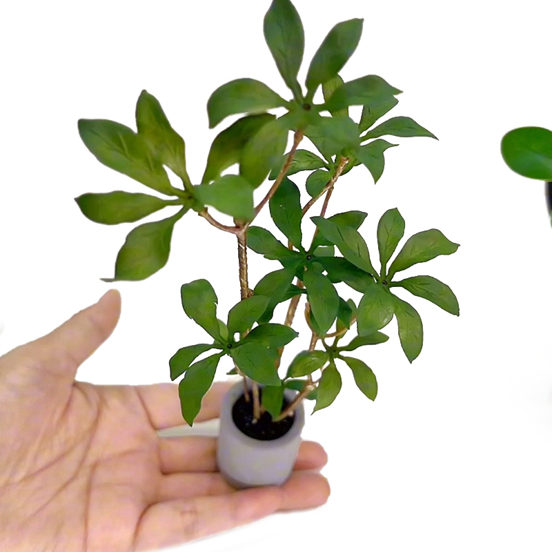 Bonsai Garden Europe - 1:6 domek dla lalek miniaturowe rośliny