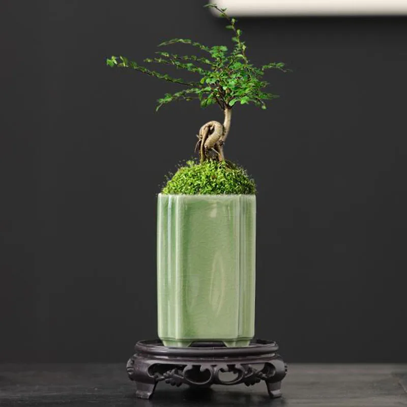 Bonsai Garden Europe - Porcelanowa kwadratowa doniczka do orchidei, wazon