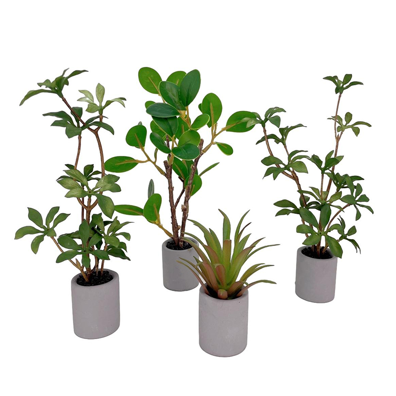 1:6 domek dla lalek miniaturow – Bonsai Garden Europe recenzja i cena