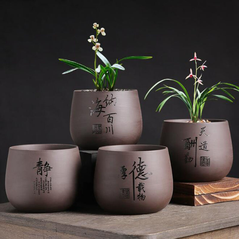 Chiński styl purpurowa glina d – Bonsai Garden Europe recenzja i cena