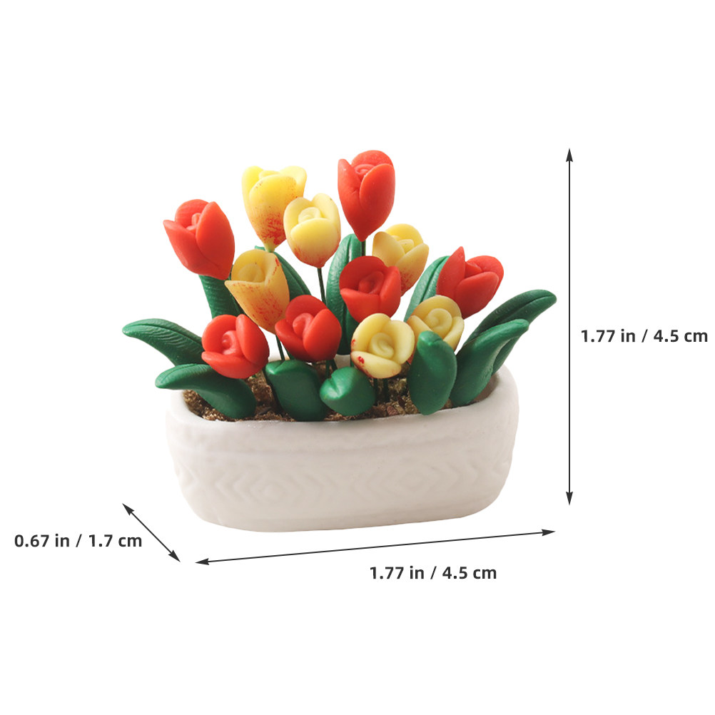 Miniaturowa roślina tulipana w – Bonsai Garden Europe recenzja i cena