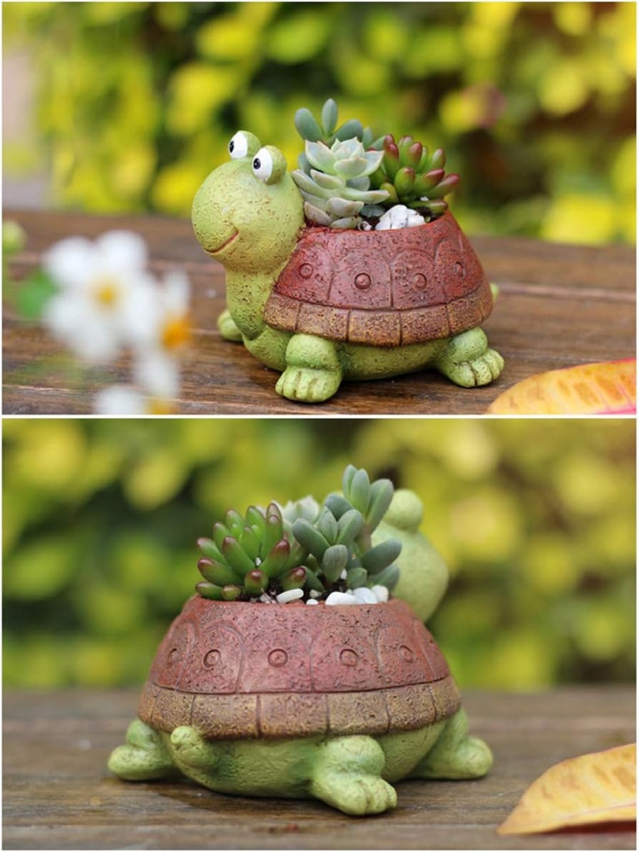 Śliczny żółw doniczka sukulent – Bonsai Garden For Desk recenzja i cena