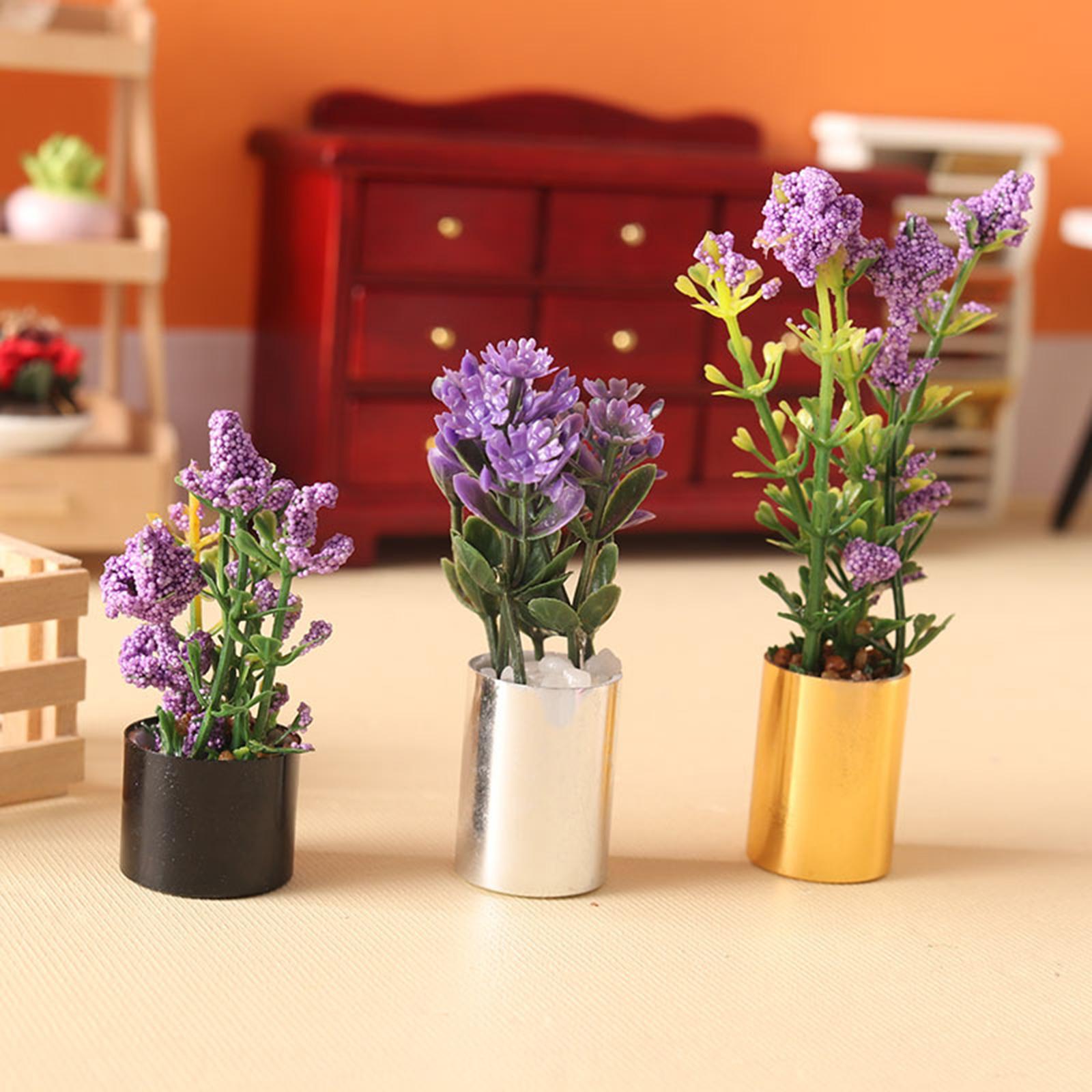 Miniaturowa Roślina Doniczkowa – Bonsai Garden Europe recenzja i cena