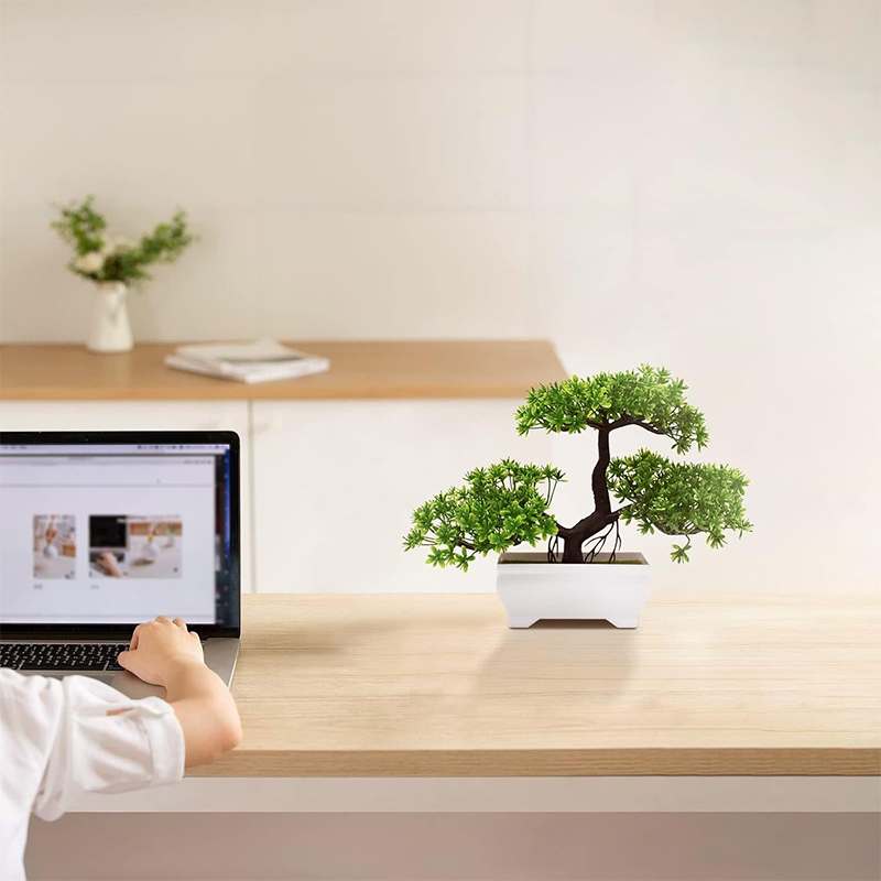 Sztuczne Bonsai Plastikowe Bio – Bonsai Garden For Desk recenzja i cena