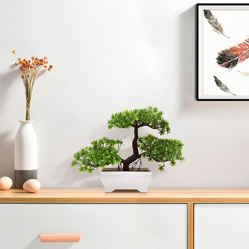Sztuczne Bonsai Plastikowe Bio – Bonsai Garden For Desk recenzja i cena