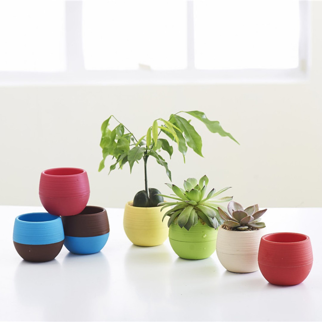 Mini plastikowe doniczki ogrod – Bonsai Garden Europe recenzja i cena