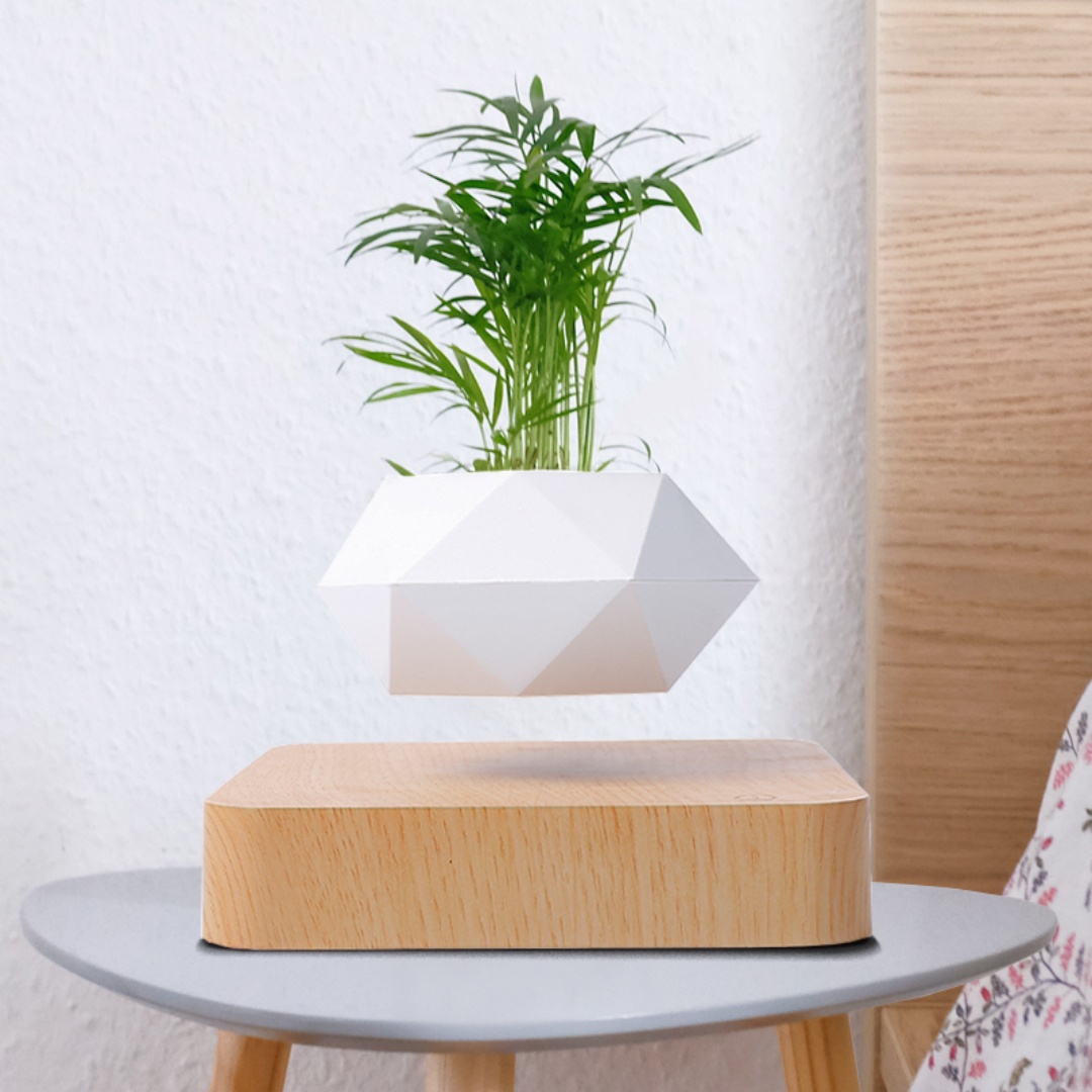 Levitujący doniczka w kształci – Bonsai Garden For Desk recenzja i cena