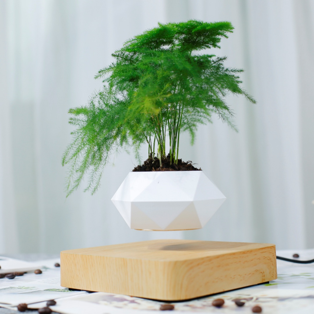 Levitujący doniczka w kształci – Bonsai Garden For Desk recenzja i cena