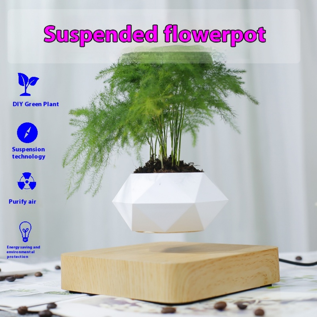 Levitujący doniczka w kształci – Bonsai Garden For Desk recenzja i cena